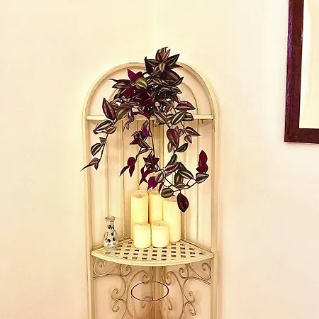 Nest In - A Nest In The Of For 6 Appartement *