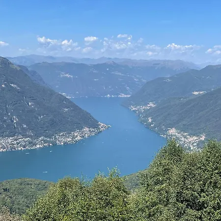 Nest In - A Nest In The Of For 6