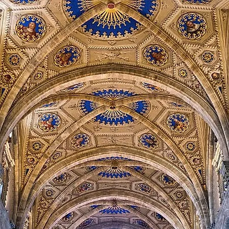 Nest In - A Nest In The Of For 6 Όπως