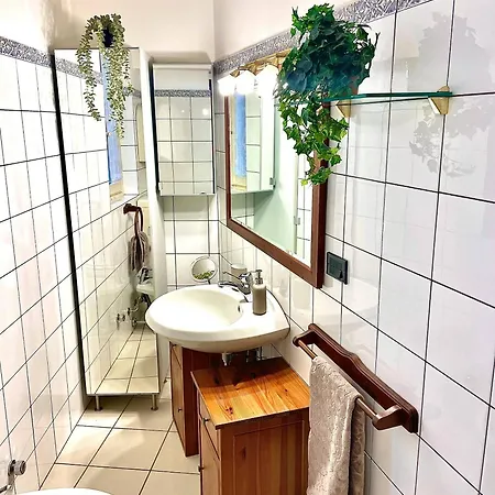 Nest In - A Nest In The Of For 6 *