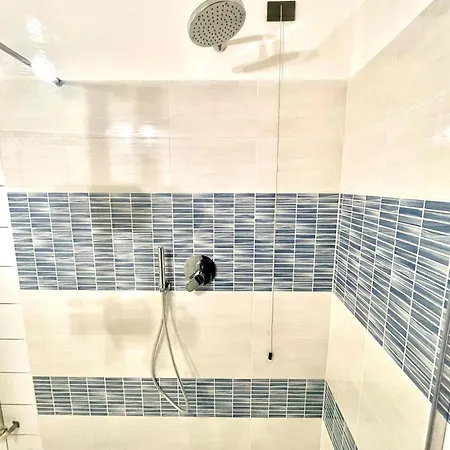 Nest In - A Nest In The Of For 6 Όπως