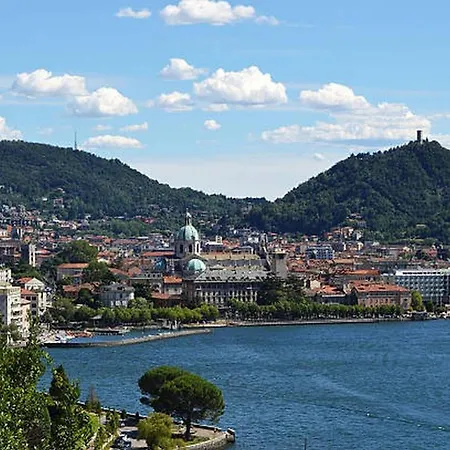 Nest In - A Nest In The Of For 6