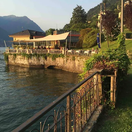 Nest In - A Nest In The Of For 6